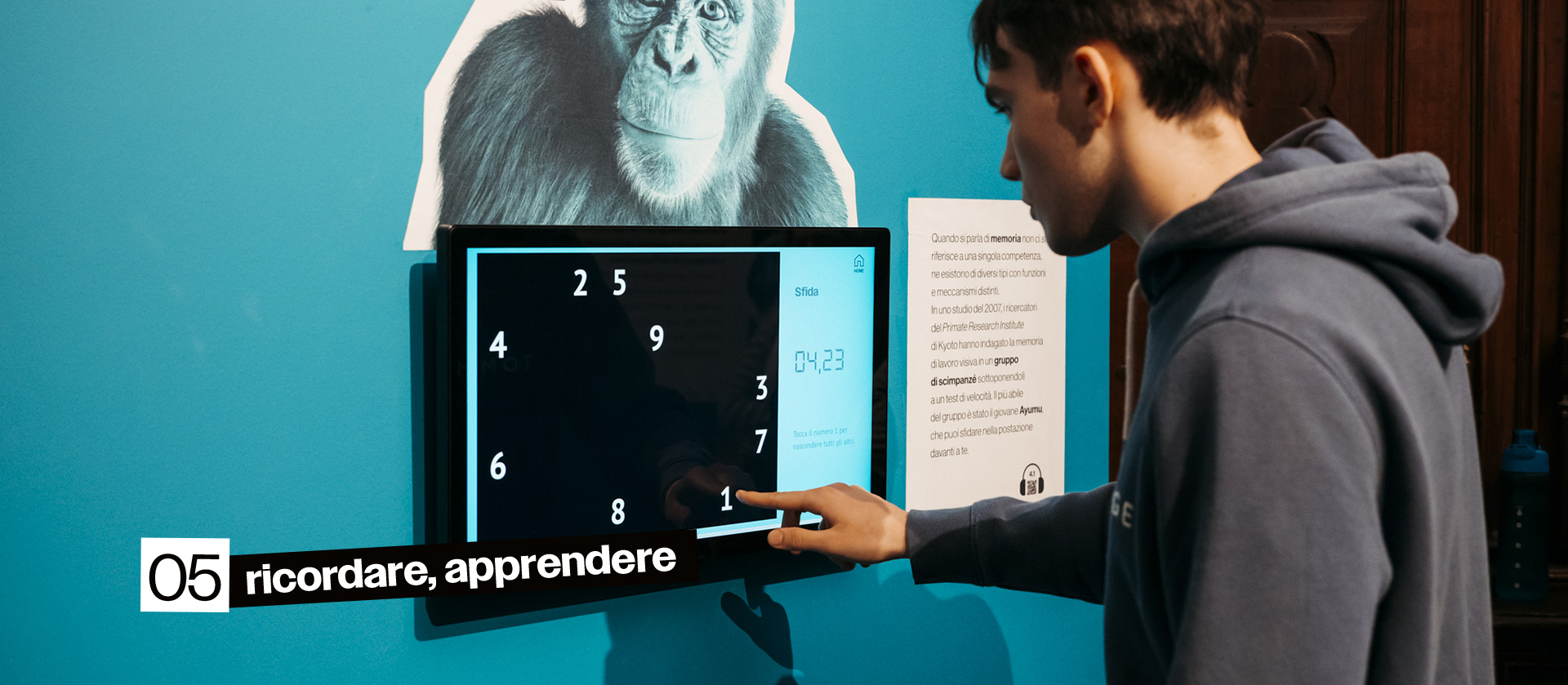 5_Ricodare_apprendere_OK